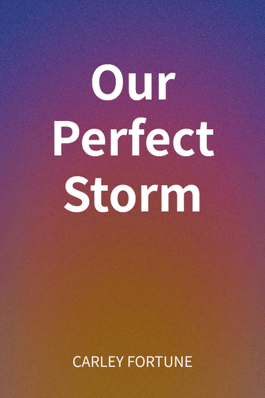 Our Perfect Storm cover