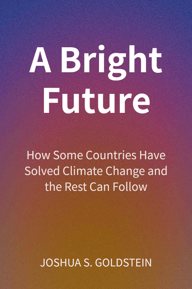 A Bright Future cover