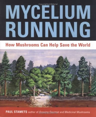 Mycelium running cover