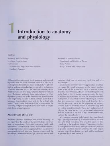 Anatomy and physiology of domestic animals cover