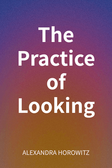The Practice of Looking cover