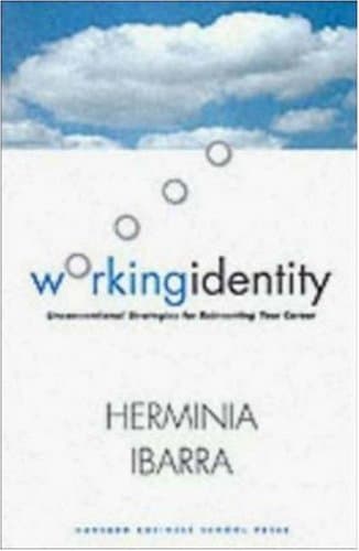 Working Identity cover