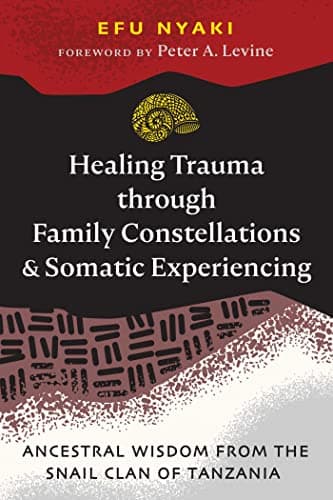 Healing Trauma Through Family Constellations and Somatic Experiencing cover