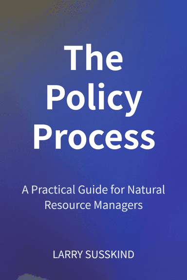 The Policy Process cover