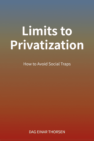 Limits to Privatization cover