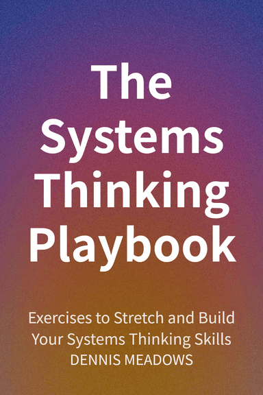 The Systems Thinking Playbook cover