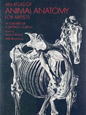 An Atlas Of Animal Anatomy For Artists cover