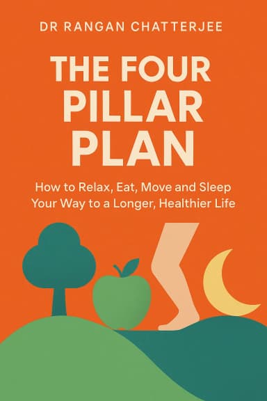 The Four Pillar Plan cover