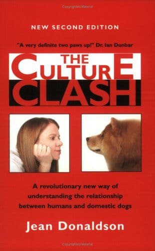 The culture clash cover