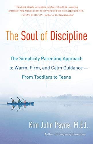The soul of discipline cover