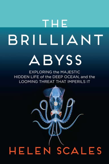 The Brilliant Abyss cover