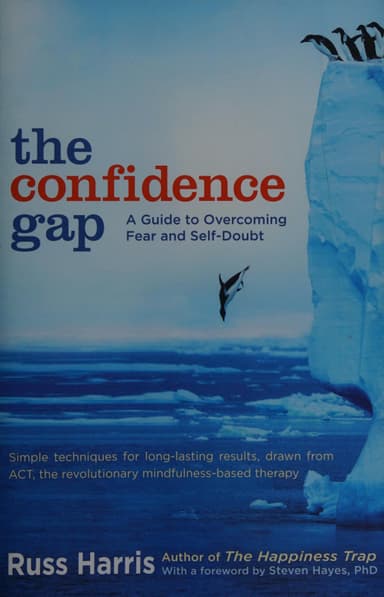 The confidence gap cover