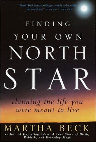 Finding your own North Star cover