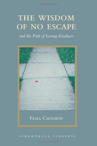 The wisdom of no escape cover