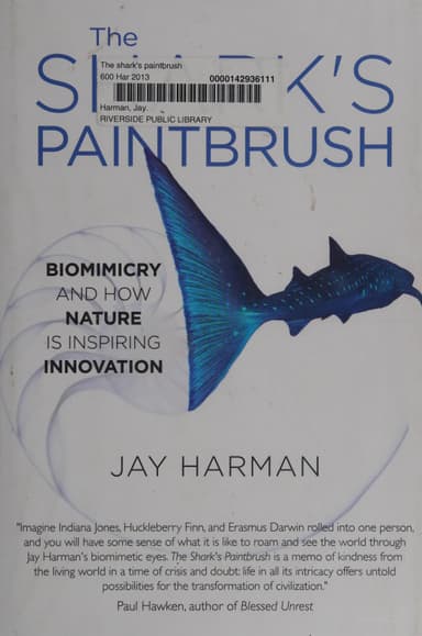 The shark's paintbrush cover