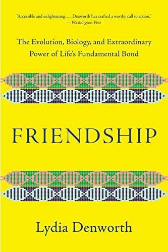 Friendship cover
