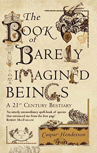 The book of barely imagined beings cover