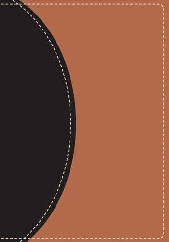 NIV Study Bible cover