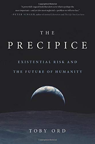 The Precipice cover