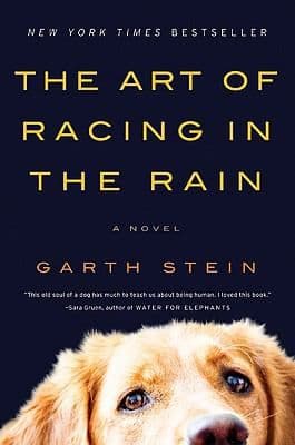 The Art of Racing in the Rain cover