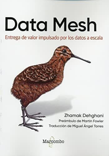 Data Mesh cover