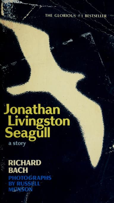Jonathan Livingston Le Goeland cover