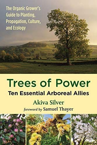 Trees of Power cover