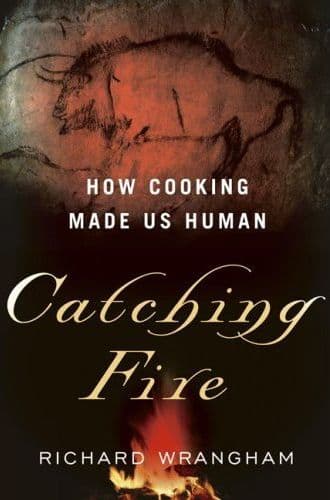 Catching fire cover