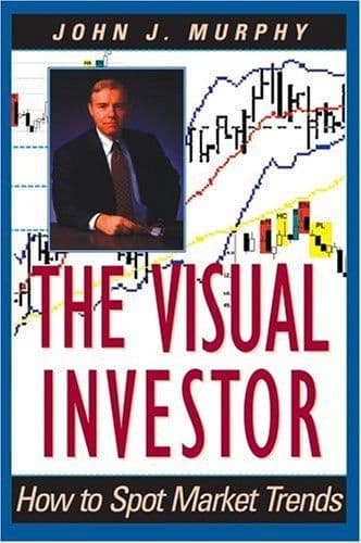 The visual investor cover