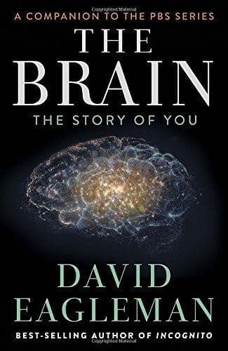 Brain cover