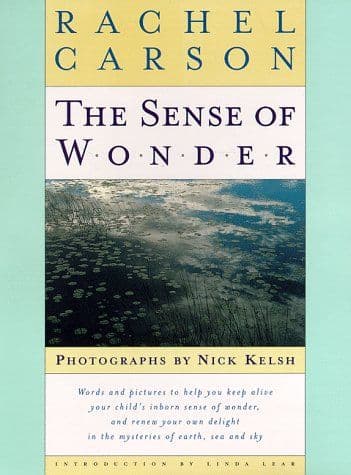 The sense of wonder cover