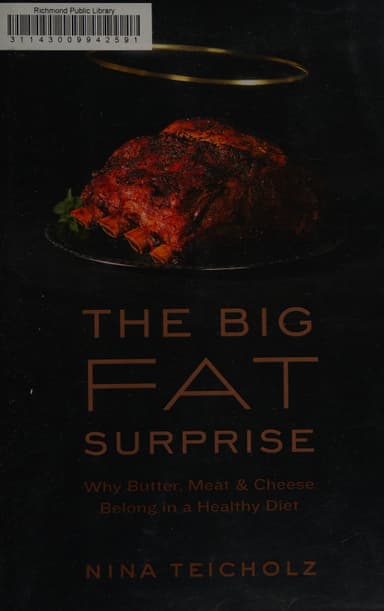 The big fat surprise cover