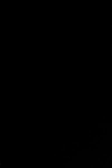 The city in history cover