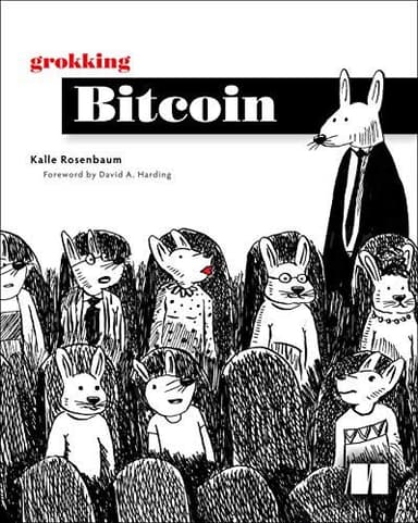 Grokking Bitcoin cover