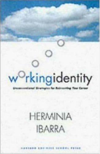 Working Identity cover