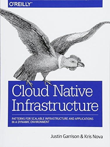 Cloud Native Infrastructure: Patterns for Scalable Infrastructure and Applications in a Dynamic Environment cover