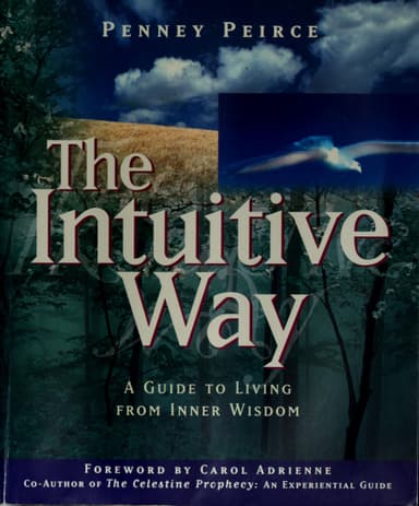 The intuitive way cover