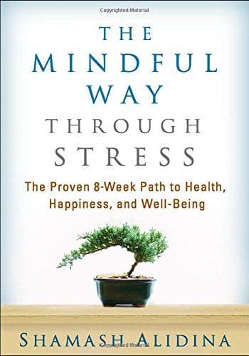 The Mindful Way through Stress cover