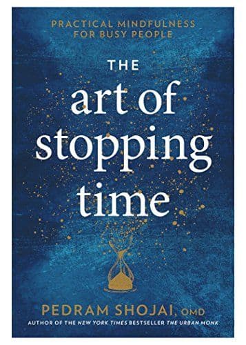 Art of Stopping Time cover