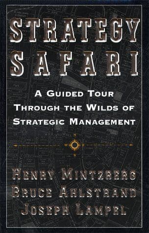 Strategy safari cover