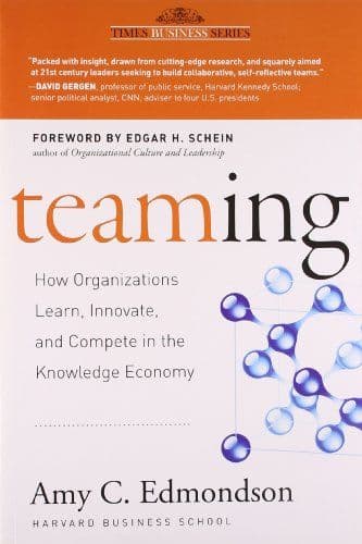 TEAMING cover