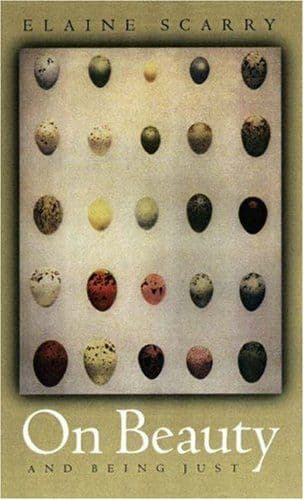 On Beauty and Being Just cover