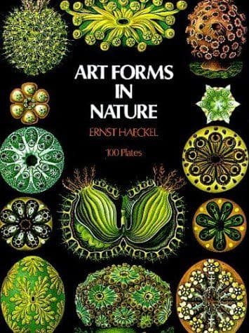 Kunstformen der Natur cover