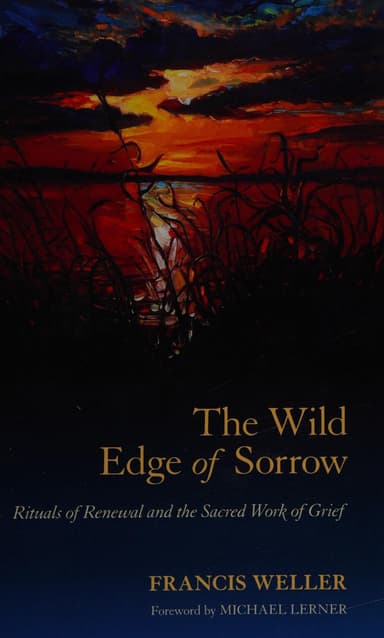 The wild edge of sorrow cover