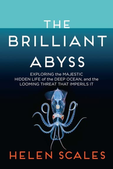 The Brilliant Abyss cover