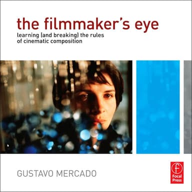 The filmmaker's eye cover