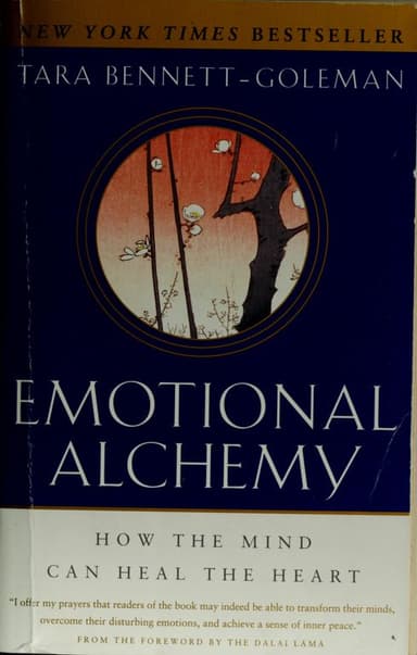 Emotional alchemy cover