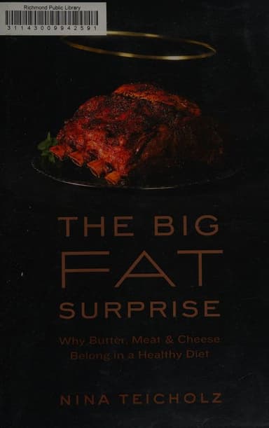The big fat surprise cover