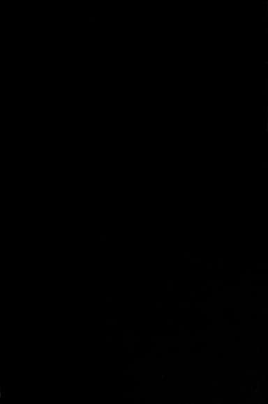 The city in history cover