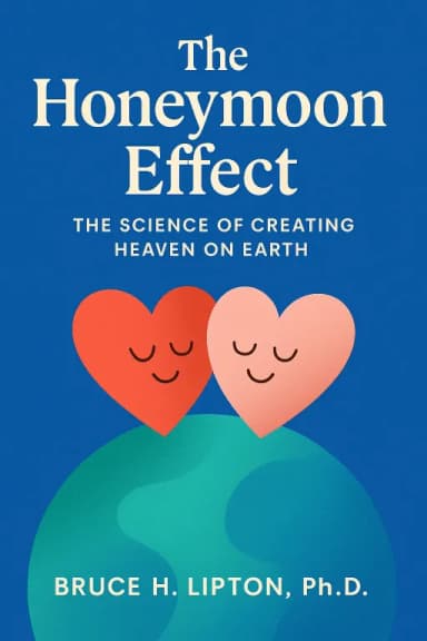 The Honeymoon Effect cover
